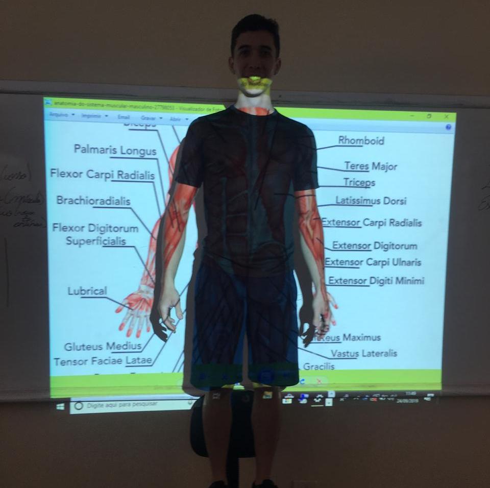 Educação Física - Anatomia