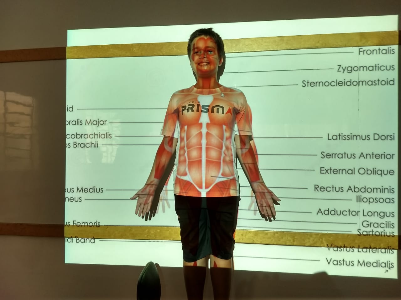 Aula de Anatomia Humana - Educação Física