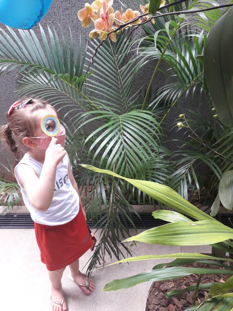 Maternal A e B - Investigadores da Natureza