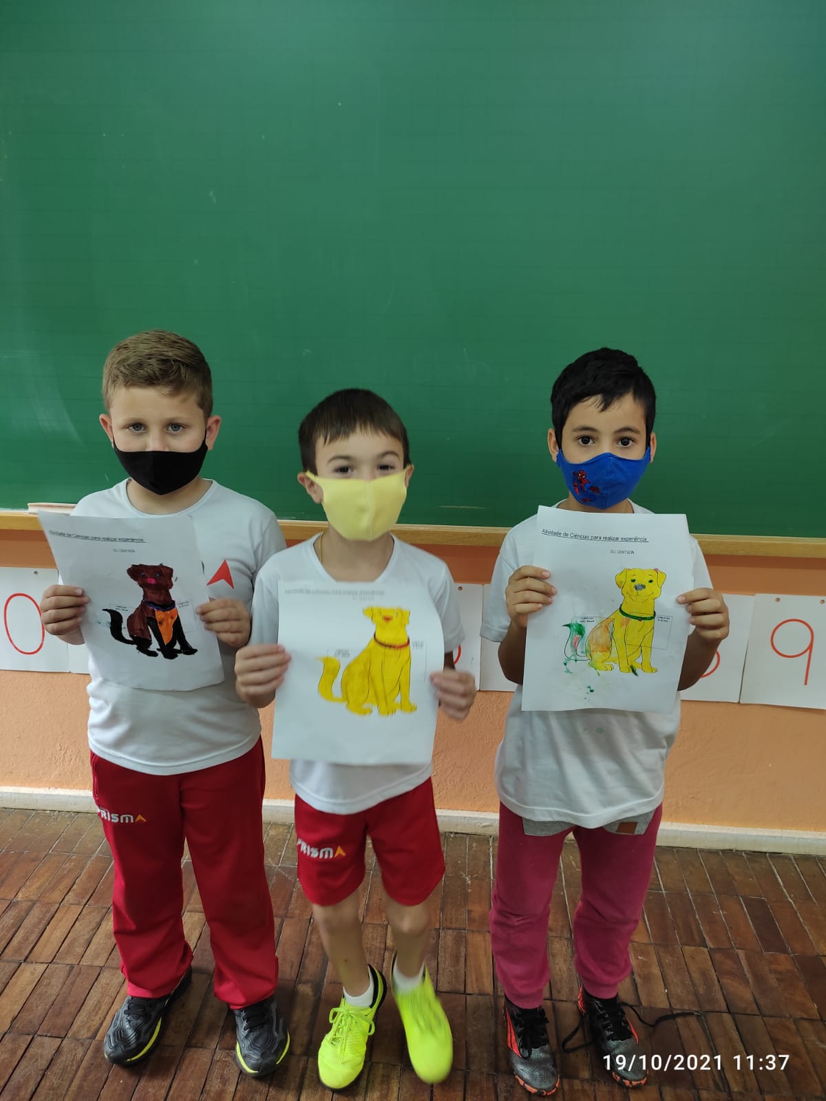 1º Ano A e B - Aula de Ciências - Permeabilidade dos materiais diversos.