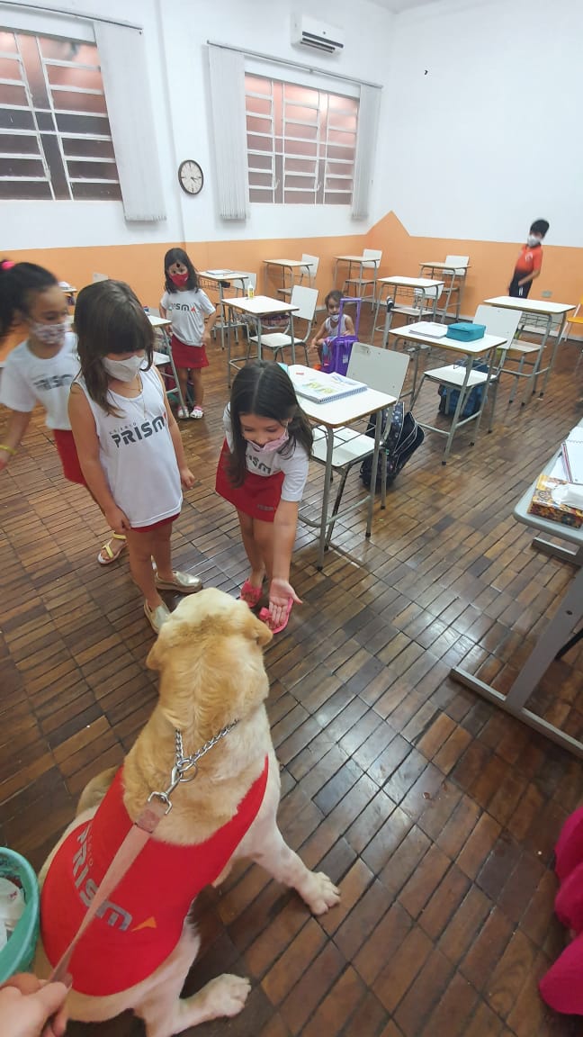 Amora na Escola